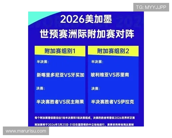 2026年世界杯48强阵容完整名单公布及球队实力对比